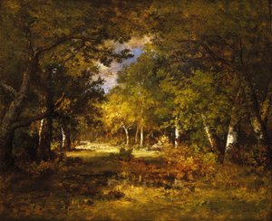 Forest Scene